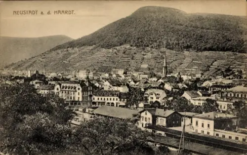Ak Neustadt an der Haardt Neustadt an der Weinstraße , Blick auf Neustadt a. d. Haardt, Berge im 