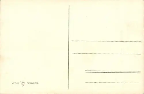 Ak Schwerin in Mecklenburg, Schloss