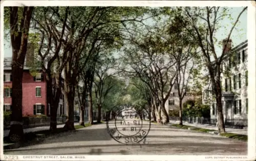 Ak Salem Massachusetts USA, Chestnut Street, Bäume, Häuser, Poststempel, Farbige Ansicht