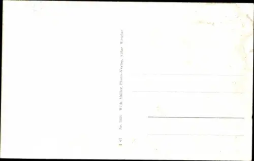 Ak Dillenburg in Hessen, Obertor, Wilhelmsturm, Wilhelmplatz, Untertor, Rentamt, Wappen