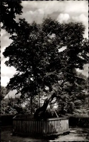 Ak Dillenburg in Hessen, Wilhelmslinde