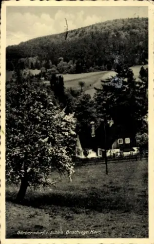 Ak Sokołowsko Görbersdorf Schlesien, Brachvogel Haus