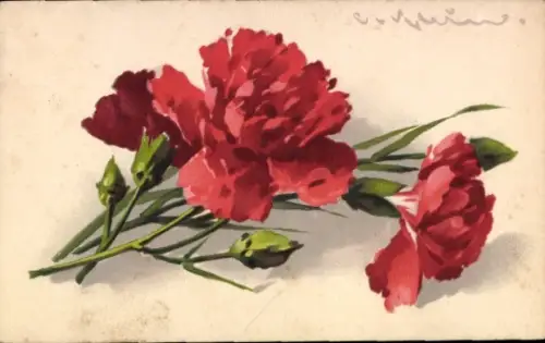Künstler Ak Klein, Catharina, rote Nelken