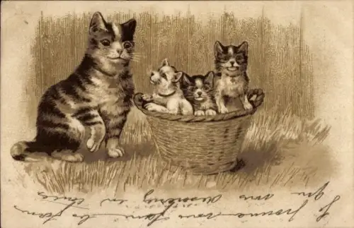 Ak Katzenfamilie, Kätzchen, Katzen