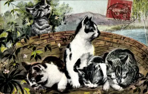 Ak Junge Katzen im Korb