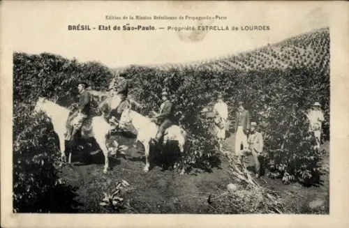 Ak São Paulo Brasilien, Landwirtschaft