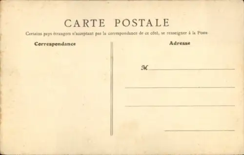 Ak Rio Grande do Sul Brasilien, Plantation de Pyrethre