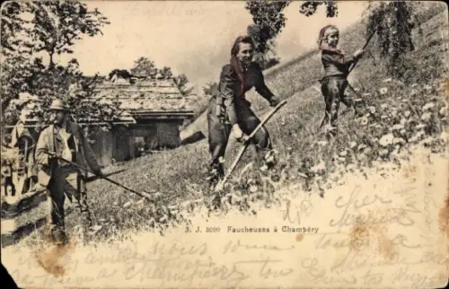 CPA Champéry Canton du Valais, Faucheuses