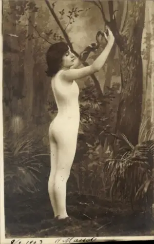 Ak Nackte Frau, Frauenakt, Erotik, Schlange