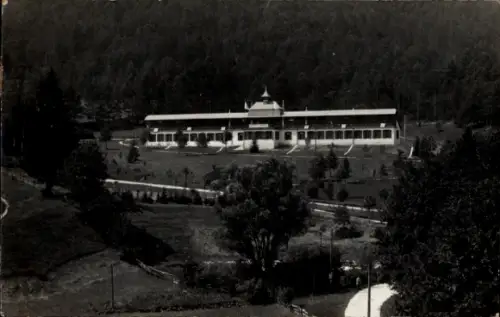 Ak Wienerwald Niederösterreich, Peilstein, Cimone, Kriegerheilstätte  Waldlandschaft,  aus 1919