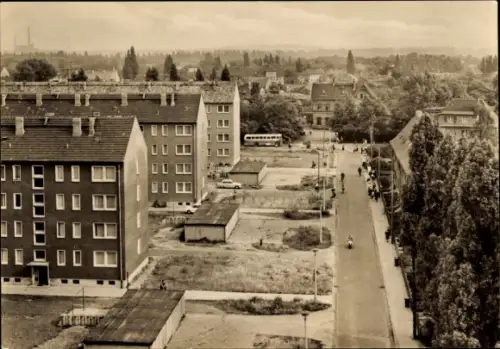 Ak Sandersdorf Brehna in Sachsen Anhalt, Feldstraße