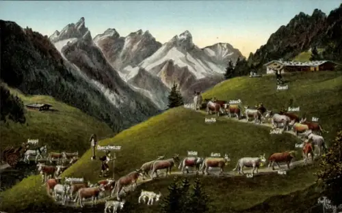 Foto Ak Felle, E., Isny im Allgäu, Aufzug auf die Alm, Rinder