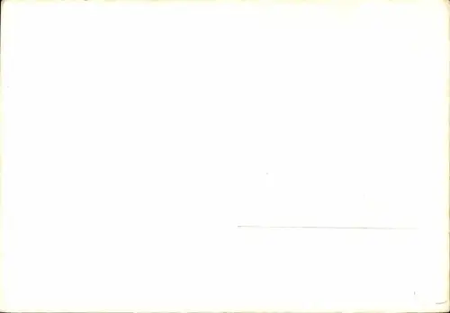 PC The Quick's with Musikus