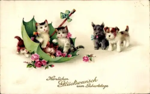 Ak Glückwunsch zum Geburtstag, vier Katzen mit grünem Schirm, zwei Terrier