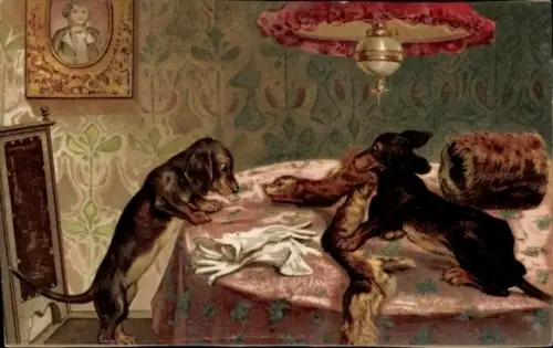 Litho Dackel spielen auf dem Tisch, Schal, Muff
