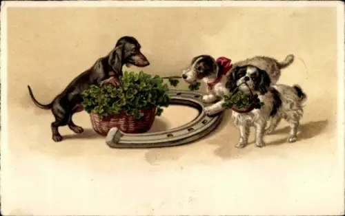 Ak Hunde, Dackel, Hufeisen, Glücksklee
