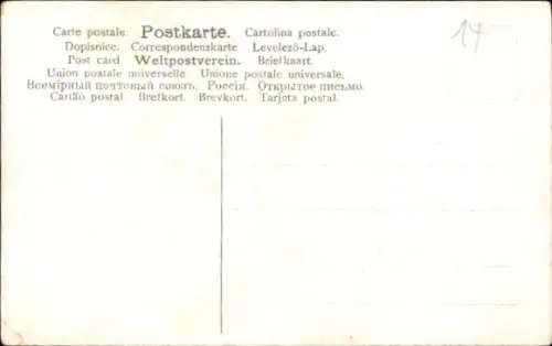 Ak Narzissen in einem Korb, Dackel