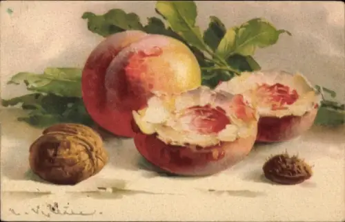 Künstler Ak Klein, Catharina, Pfirsich, Pfirsichkern, Obst