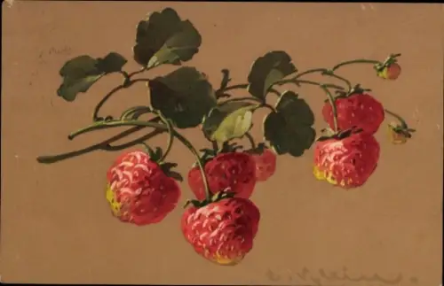 Künstler Ak Klein, Catharina, Erdbeeren, Meissner & Buch