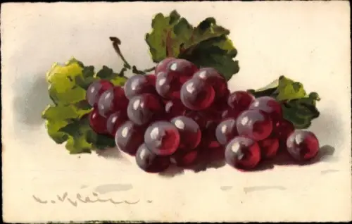 Künstler Litho Klein, Catharina, Weinrebe mit roten Trauben