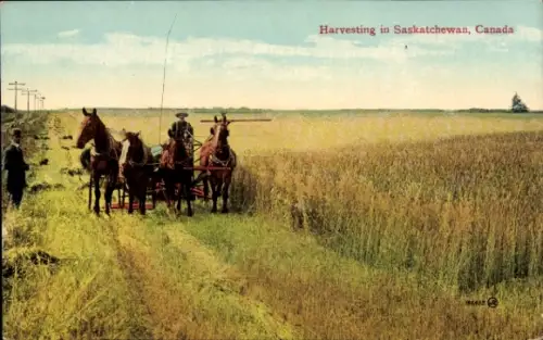 PC Harvesting in Saskatchewan, Canada
