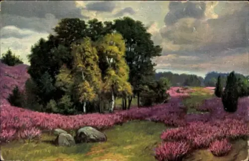 Künstler Ak Heidelandschaft, Birken