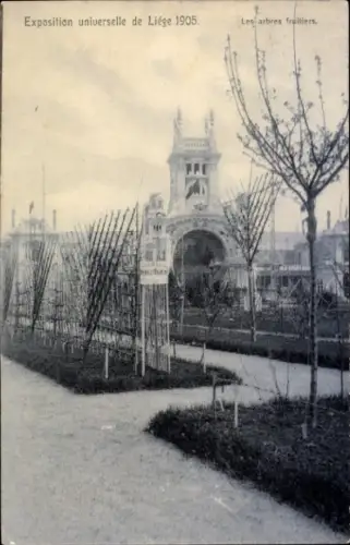 CPA Exposition universelle de Liege 1905, Arbres fruitiers