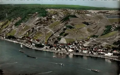 Ak Assmannshausen Rüdesheim am Rhein, Landschaft am Rhein, Weinberge, Schiffe, Assmannshausen