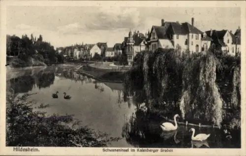 Ak Hildesheim in Niedersachsen, Schwaneninsel im Kalenberger Graben