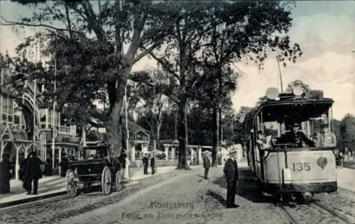Ak Kaliningrad Königsberg Ostpreußen, am Zoologischen Garten, Straßenbahn 135