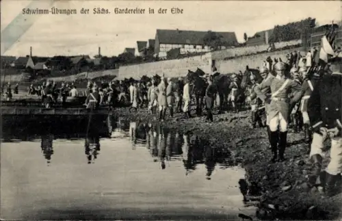 Ak Schwimm-Übungen der Sächsischen Gardereiter in der Elbe