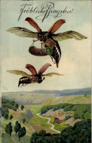 Präge Ak Frohe Pfingsten, Maikäfer mit Ziehharmonika