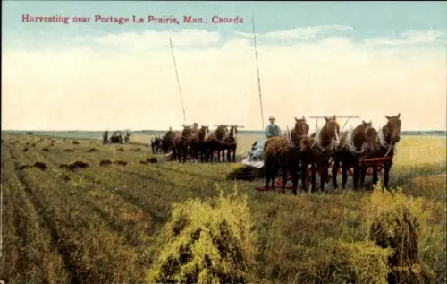 PC Harvesting near Portage La Prairie, Manitoba, Canada