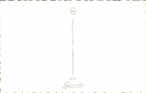 Ak Frau in pinkem Badeanzug, Porträt