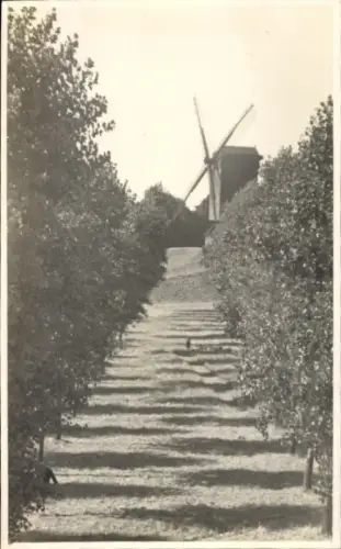 Foto Ak Bruges Brügge Flandern Westflandern, Windmühle