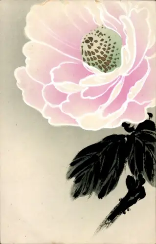 Ak Blühende pinke Blume