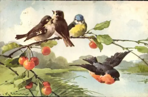 Künstler Ak Klein, Catharina, Singvögel auf einem Kirschzweig, Meise, Rotkehlchen
