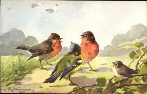 Künstler Ak Klein, Catharina, Vögel, Blaumeise