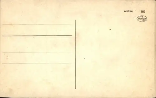 Ak Katze, Tierportrait