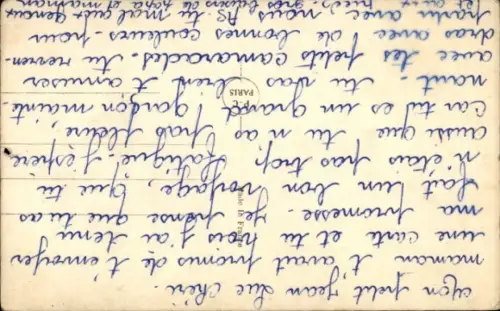 Ak Katze, Tierportrait