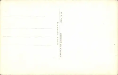 Ak Katze, Tierportrait