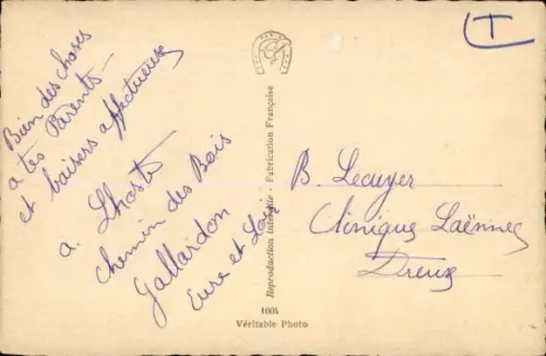 Ak Katze, Siamkatze, Tierportrait