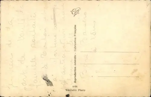 Ak Katze, Siamkatze, Tierportrait