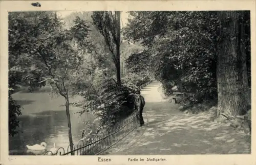 Ak Essen im Ruhrgebiet, Stadtgarten