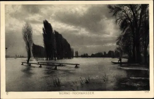 Ak Worms, Hochwasser, überschwemmte Landschaft, Bäume