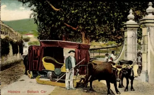 Ak Insel Madeira Portugal, Bolluck Car