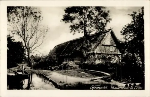 Ak Leipe Lübbenau, Blick auf ein Bauernhaus, Spreewald