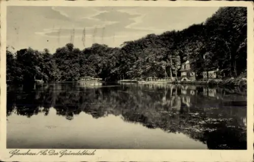 Ak Glauchau in Sachsen, Gründelteich