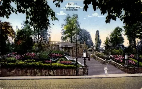 Ak Erfurt in Thüringen,  Aufgang zum Stadtpark, Blumen, Treppen, Bäume