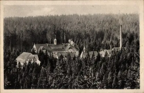 Ak Bad Reiboldsgrün Auerbach im Vogtland, Heilstätte Carolagrün, Waldlandschaft, Gebäude, keine P